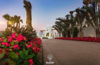 Chalet - 2 Bedrooms - 2 Bathrooms for sale in Blanca Gardens - Soma Bay - Safaga - Hurghada - Red Sea