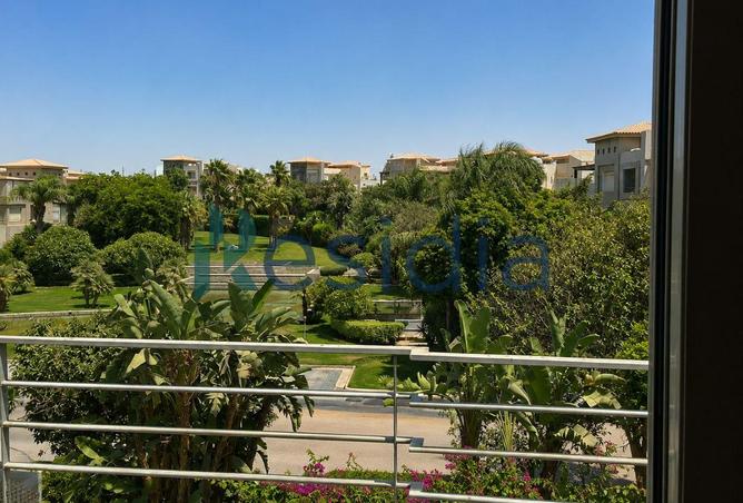 103764515 - Property Image 3