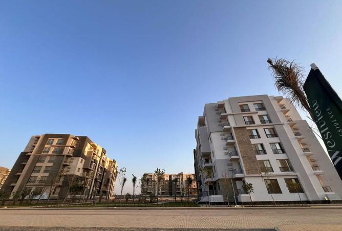 8410007 - صورة العقار 3