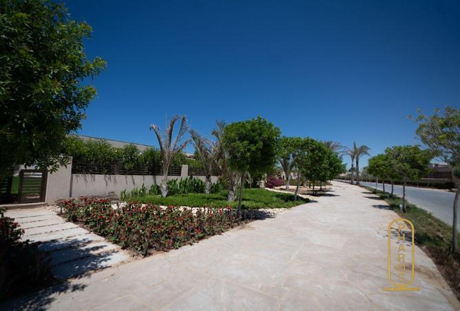 98832102 - Property Image 3