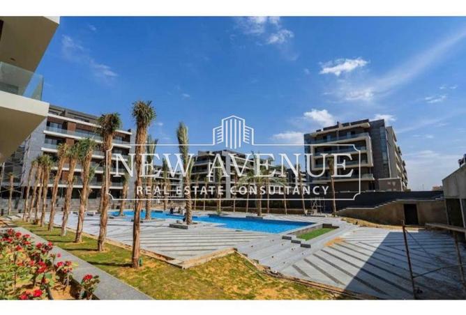 8415848 - Property Image 3