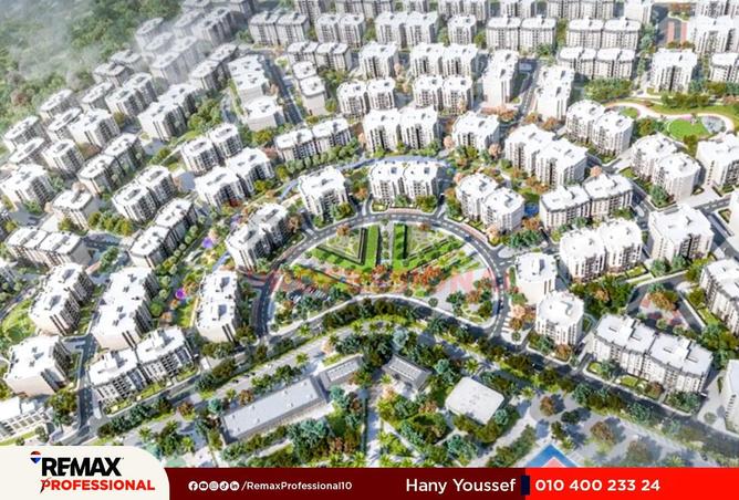 8666834 - Property Image 3