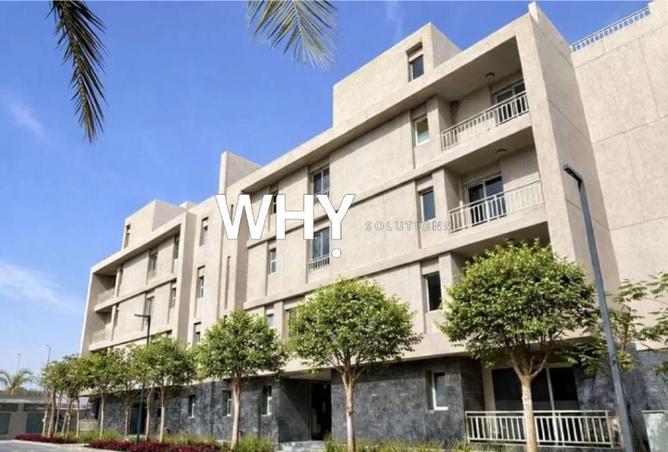 74311788 - Property Image 3