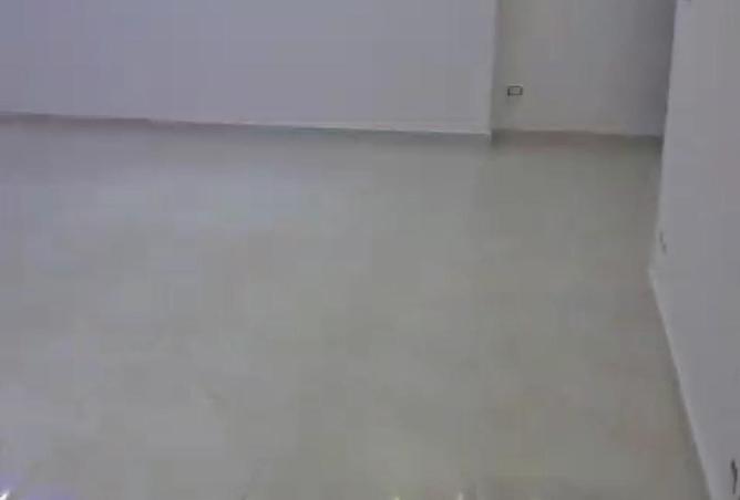 81059564 - صورة العقار 2
