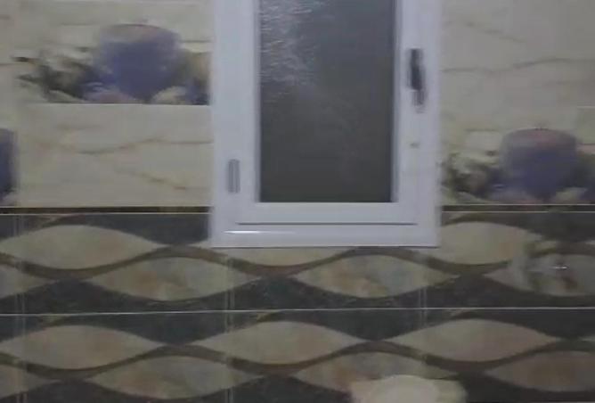 81059564 - صورة العقار 3