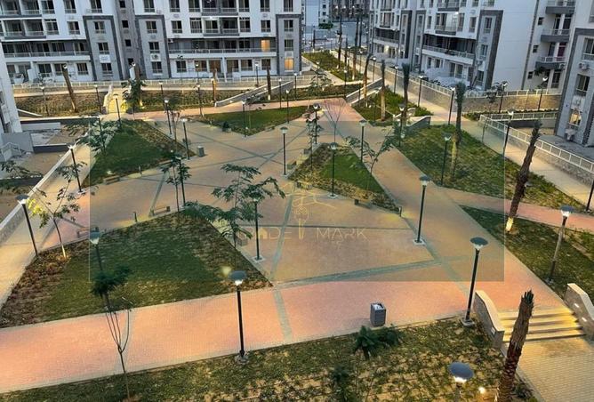 64381994 - صورة العقار 3