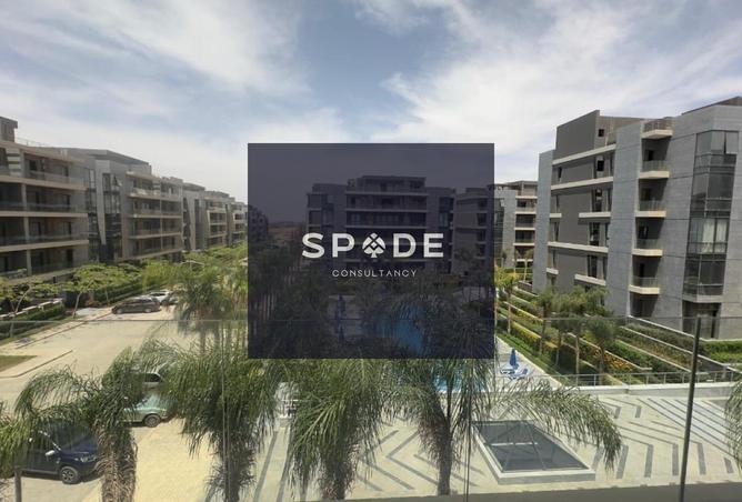 8553737 - Property Image 3