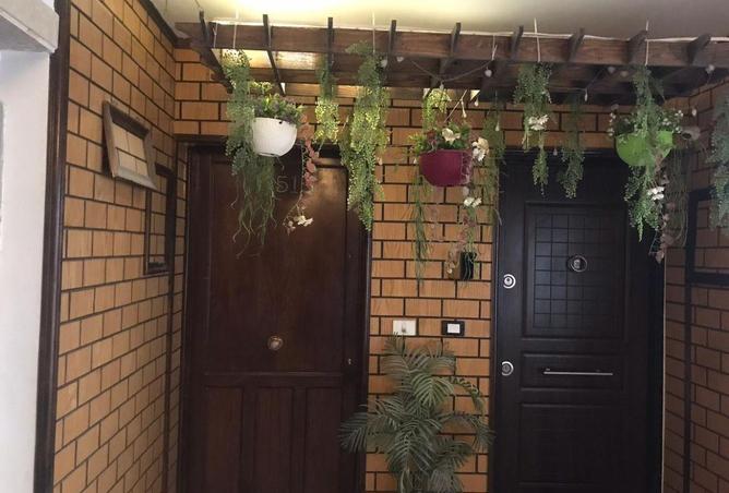 53727711 - Property Main Image