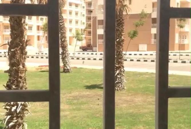 93825803 - صورة العقار 3