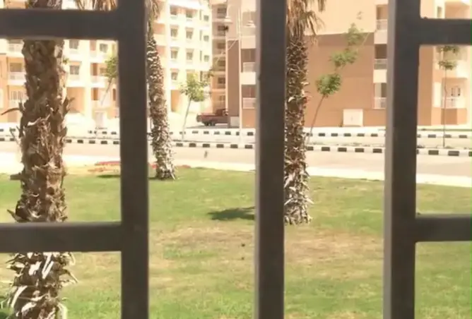 93825803 - صورة العقار 3