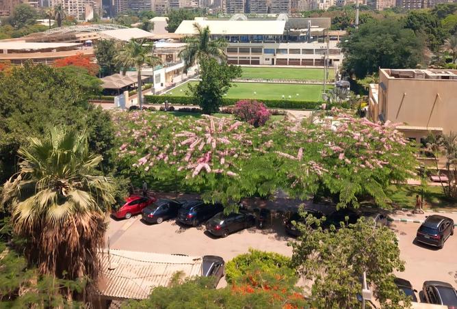 94372873 - الصورة الرئيسية للعقار