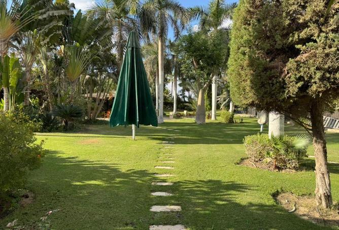 61686075 - Property Main Image