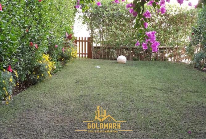 76236572 - صورة العقار 2