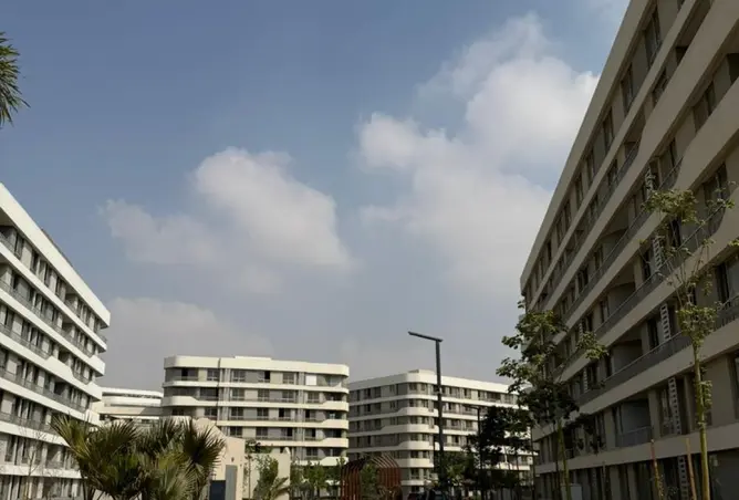 91574734 - صورة العقار 3