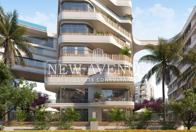 56255874 - Property Image 2