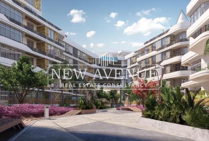 56255874 - Property Image 3