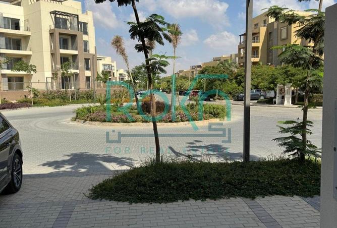 79720106 - Property Image 3