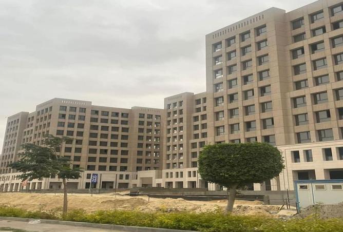 58007908 - صورة العقار 3