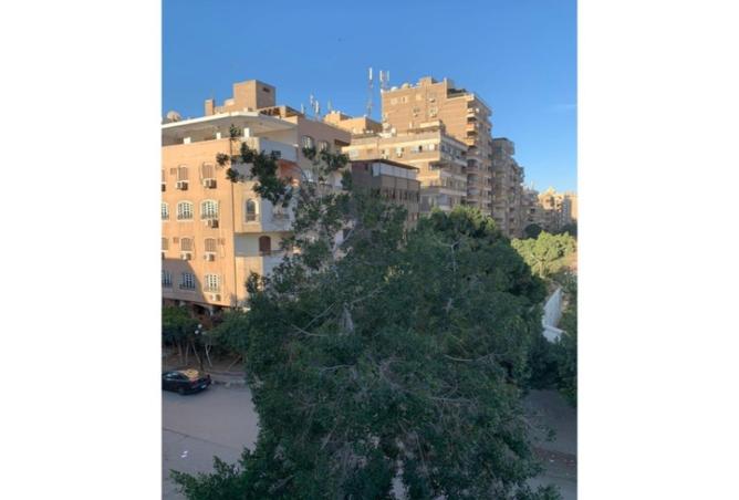 67214760 - Property Image 2