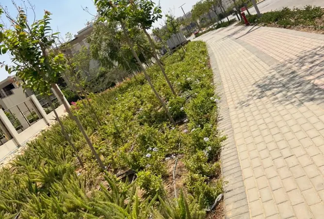 120878961 - صورة العقار 3