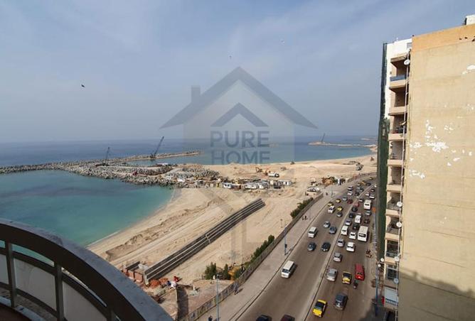 75393001 - Property Image 2