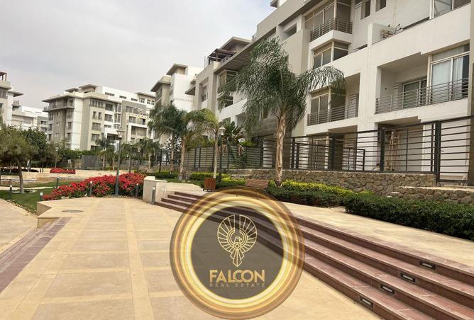 8689798 - Property Image 3