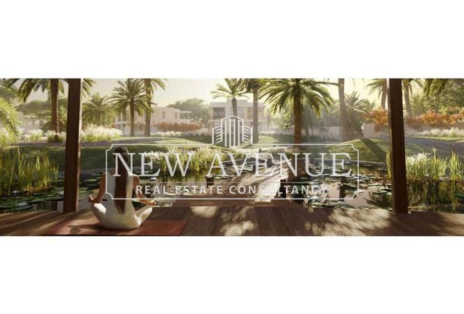 57990364 - Property Image 3