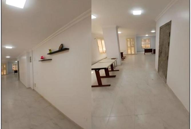 56503894 - Property Image 2