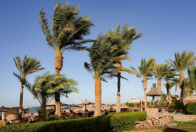 76503079 - صورة العقار 3