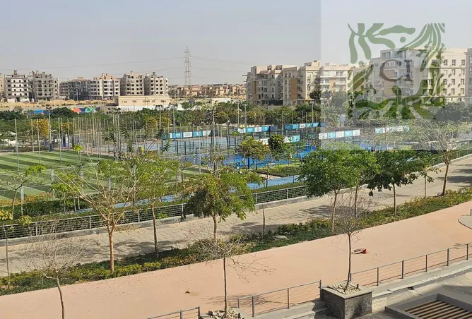 114355845 - صورة العقار 2