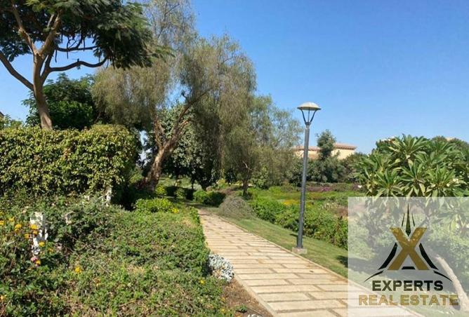 65662986 - صورة العقار 3