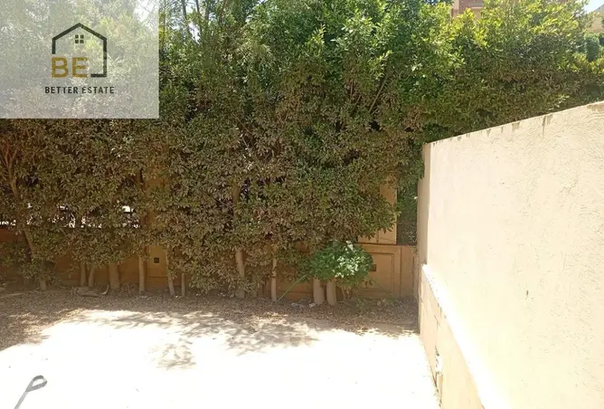 114611254 - صورة العقار 3