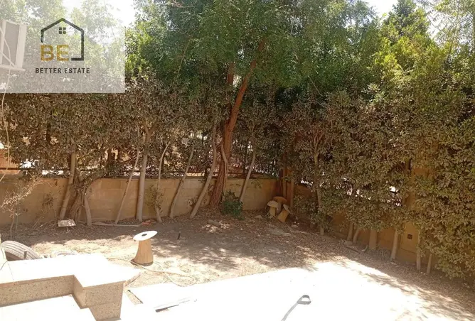 114611254 - صورة العقار 2