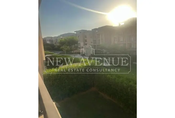 118803022 - Property Image 2