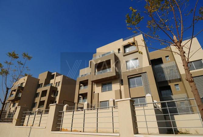 55507587 - Property Image 3