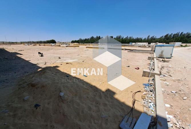 56256393 - Property Main Image