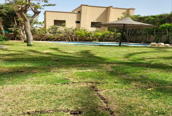 80523724 - صورة العقار 3