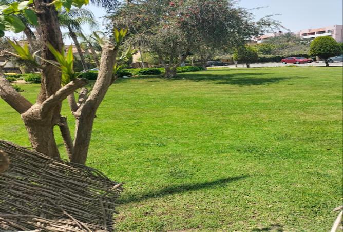 80523724 - صورة العقار 2