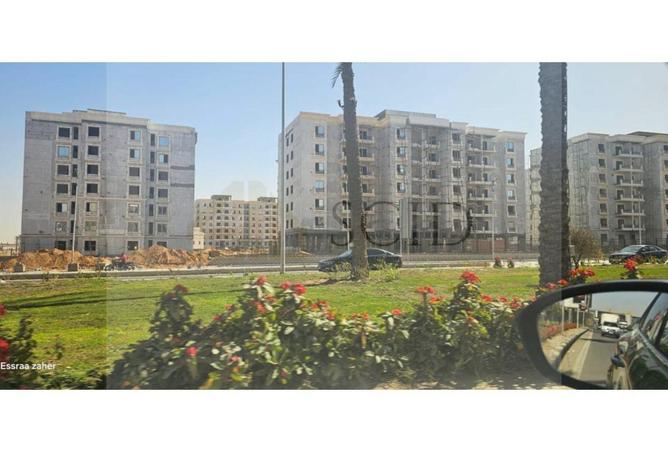 58003195 - صورة العقار 2