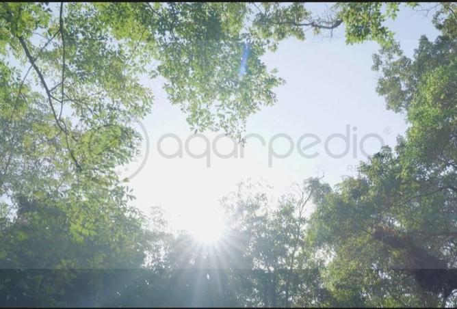 8672739 - صورة العقار 3