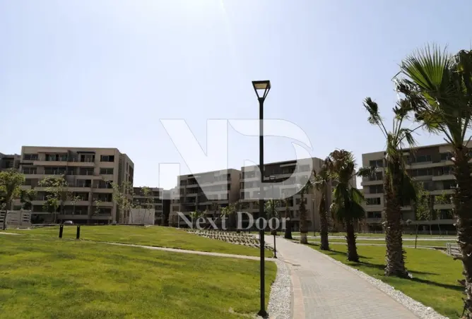 116492594 - صورة العقار 3
