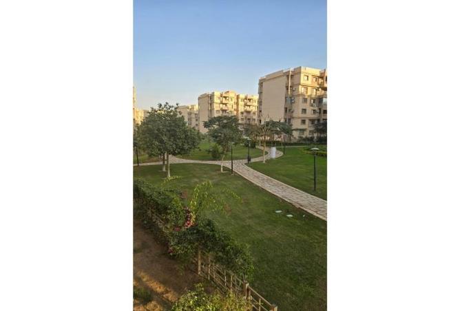 66170791 - صورة العقار 3