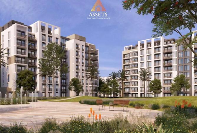 52463031 - Property Image 3