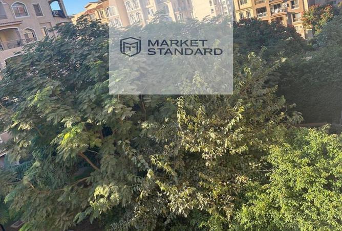 64645384 - صورة العقار 3