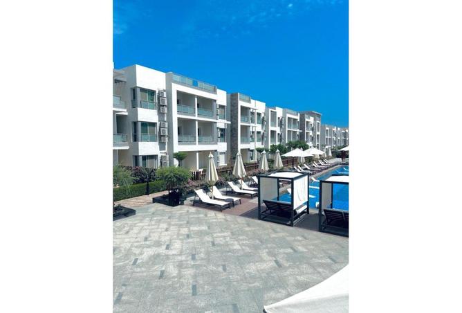 61865812 - Property Image 2