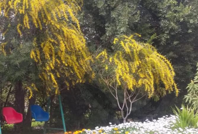 7988814 - صورة العقار 2