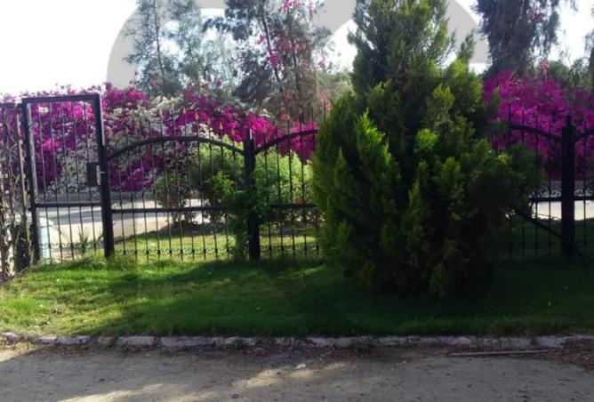 7988814 - صورة العقار 3