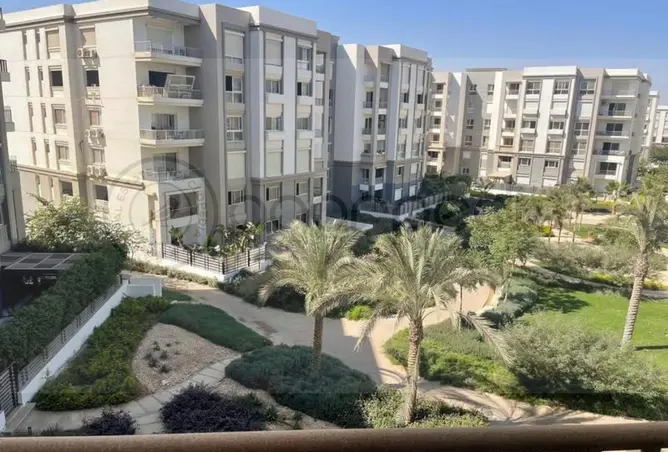 113251114 - صورة العقار 3