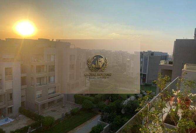 102066134 - صورة العقار 3
