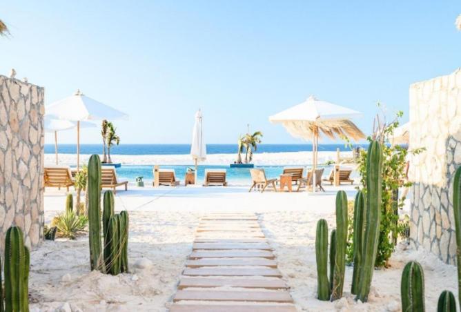 59236859 - Property Image 2